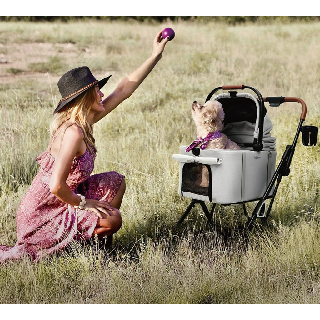 ibiyaya Tinker SF2511