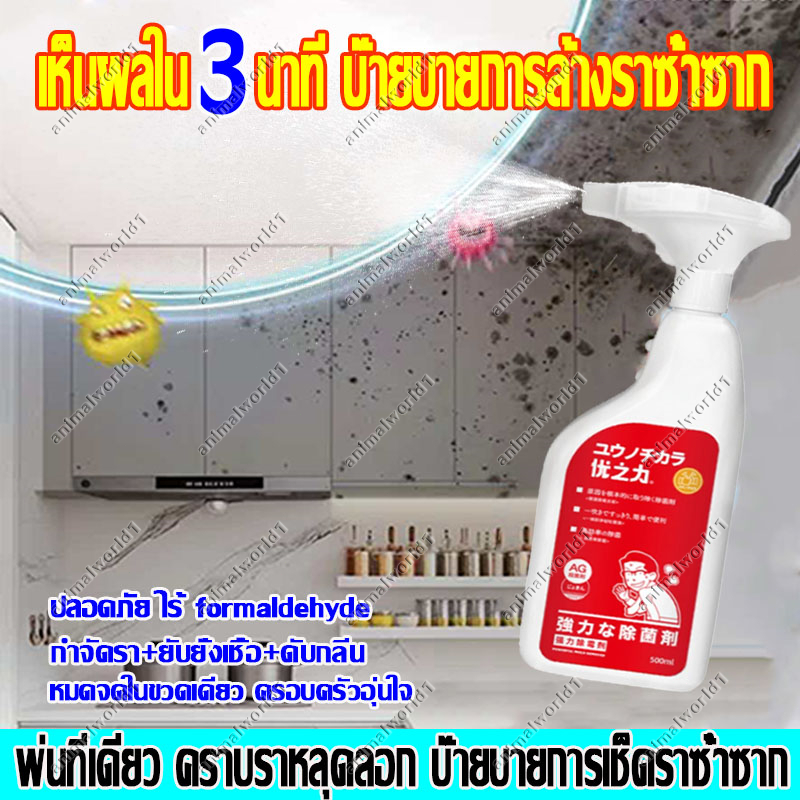 ซ่อมแซมผนังที่ขึ้นราได้อย่างรวดเร็ว น้ำยาขจัดราผนัง สเปรย์กำจัดราดำ ใช้ง่าย ปลอดภัย ไม่มีกลิ่นฉุน