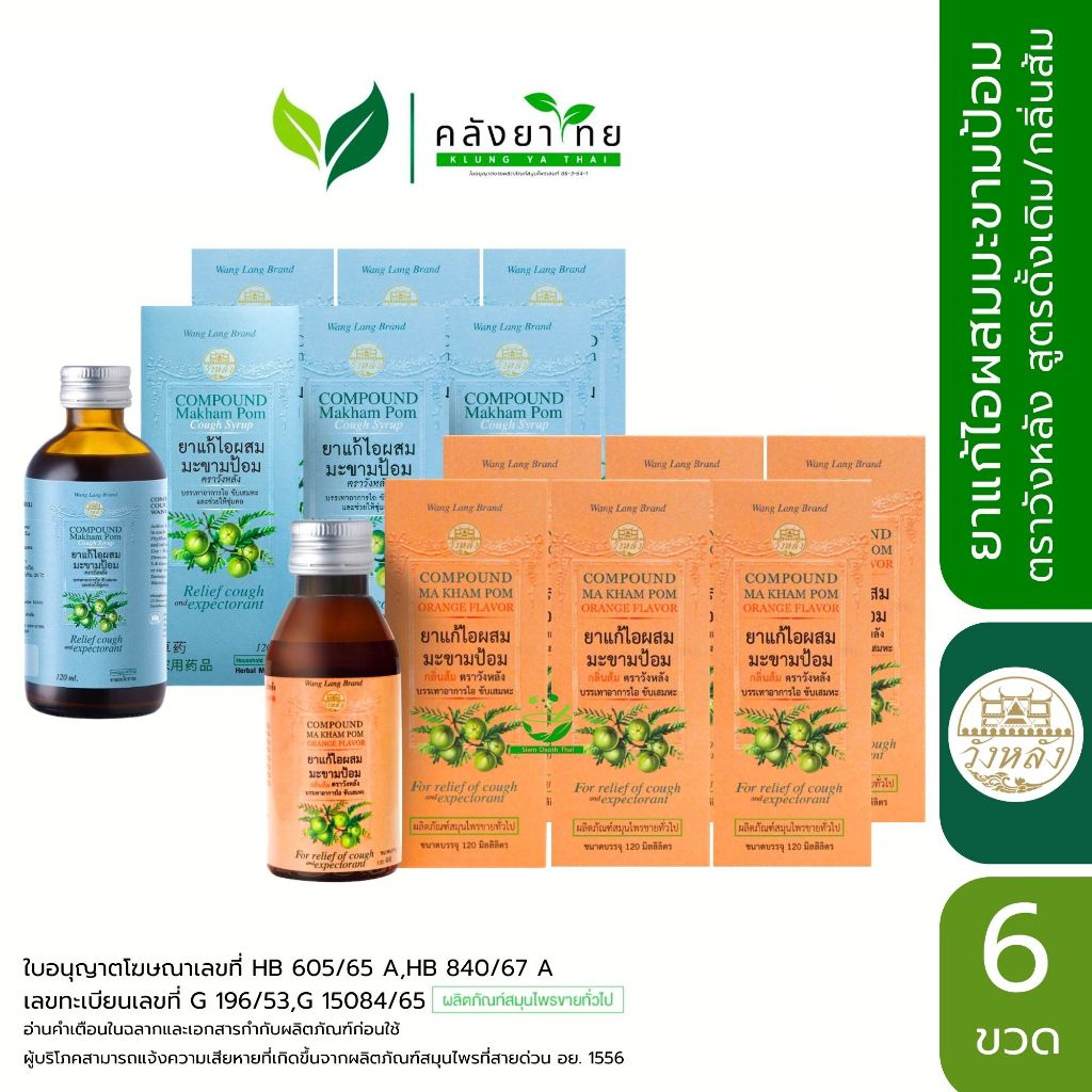 [แพ็ค 6 ขวด] Wang Lang วังหลัง ยาน้ำแก้ไอมะขามป้อม 120 มล. [กล่องสีฟ้า/กล่องสีส้ม]