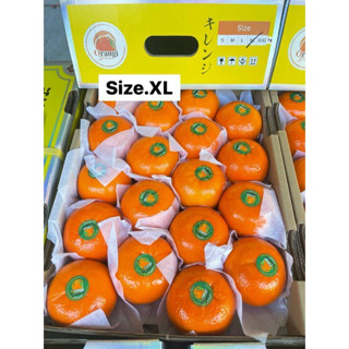 ส้มไตหวัน (ตราแมวนำโชค Size XL กล่องเหลือง) นำหนักรวมกล่อง 6…