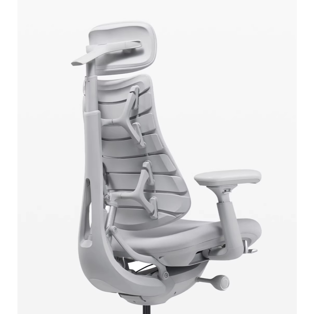 LiberNovo Omni Dynamic รีวิวเก้าอี้ Ergonomic เพื่อสุขภาพการนั่งที่ดี
