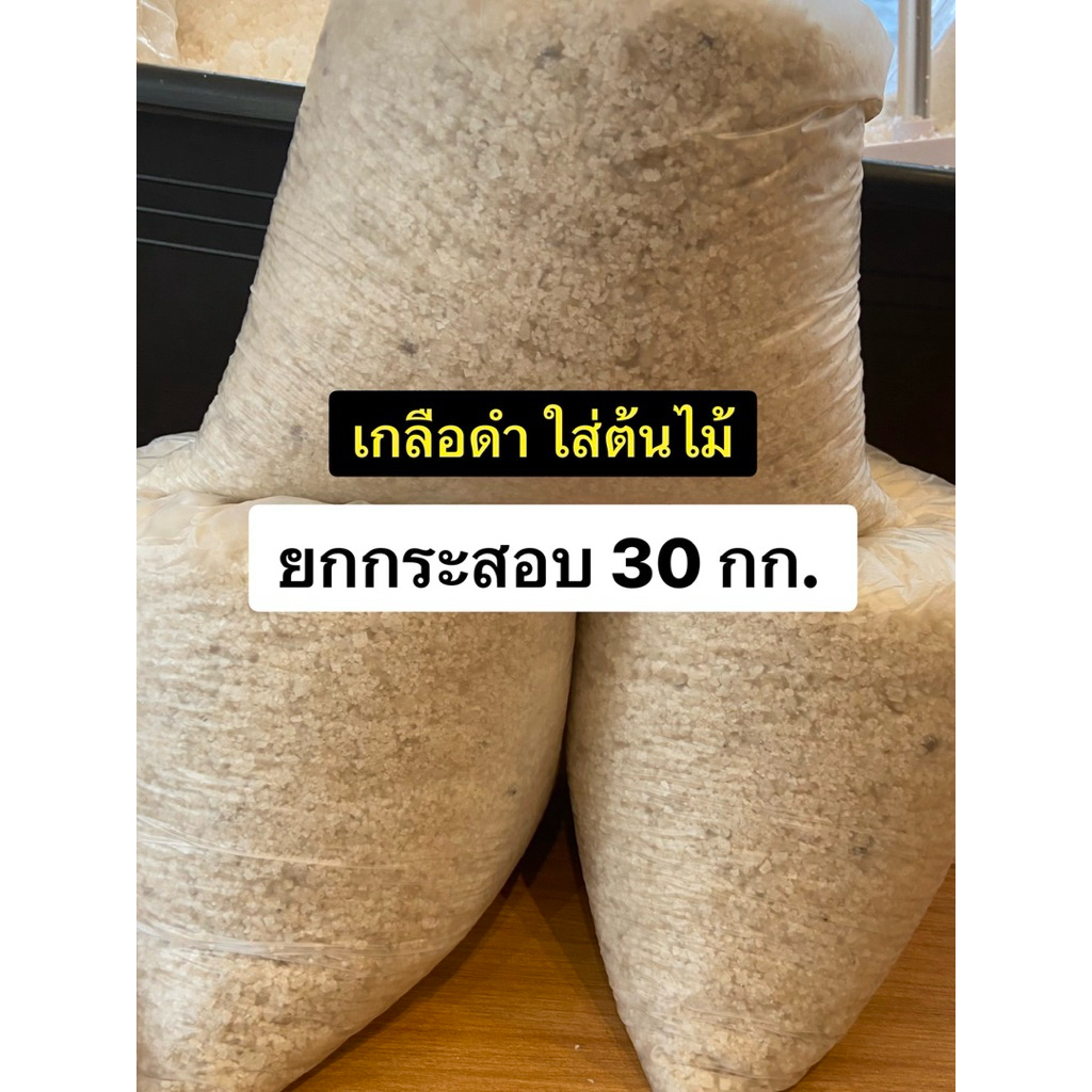 30 กก.(ยกกระสอบ)เกลือสมุทรดำ สำหรับใส่ต้นมะพร้าว ต้นไม้ เกลือใส่มะพร้าว เกลือดำใส่ต้นผลไม้เพื่อปรับดิน