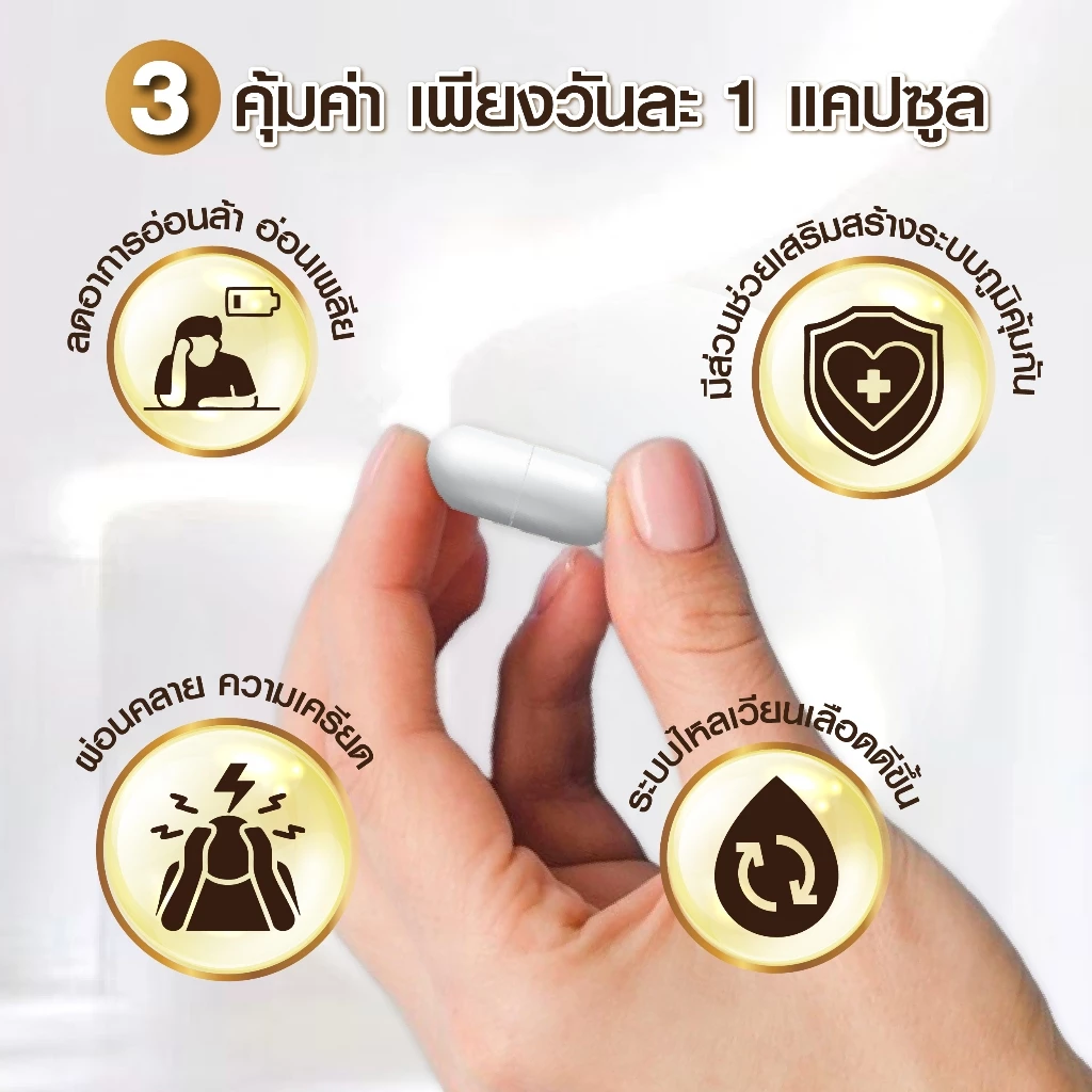 [ 1แถม1 ] ถั่งเช่า ผสมมัลติวิตามินบี ช่วยบำรุงร่างกาย และ สร้างภูมิคุ้มกัน ( 30แคปซูล/1ขวด ) thumbnail 5