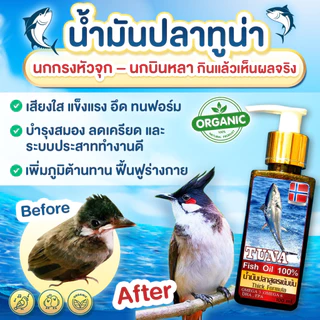 น้ำมันปลาทูน่า เสริมพัฒนาการ บำรุงนกกรงหัวจุก นกบินหลา นกกินแมลง 100 ml.