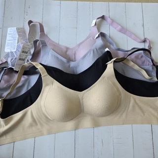 Sabina Habpy Perfect Bra Level 1 เสื้อชั้นใน ไร้ตะเข็บ ไร้โครง รหัส HBD24022