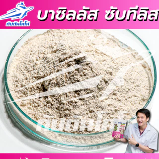 กัปตันบีเอส สูตรเข้มข้นเชื้อ 2 เท่า อัพอาหารเชื้อ บาซิลลัส ซับทิลิส แบบผง(500กรัม) ปลอดภัย 100%