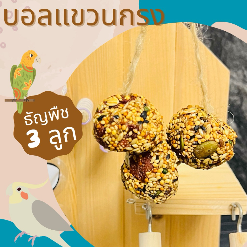 บอลแขวนกรง สำหรับนกแก้ว