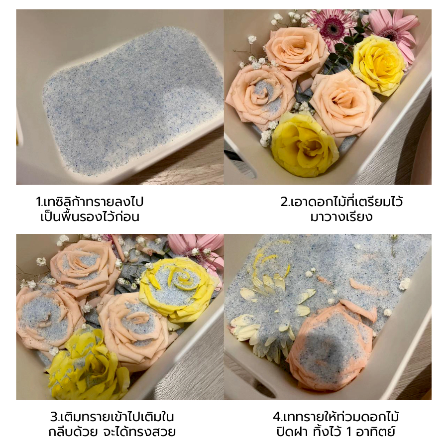 รูปภาพ 2