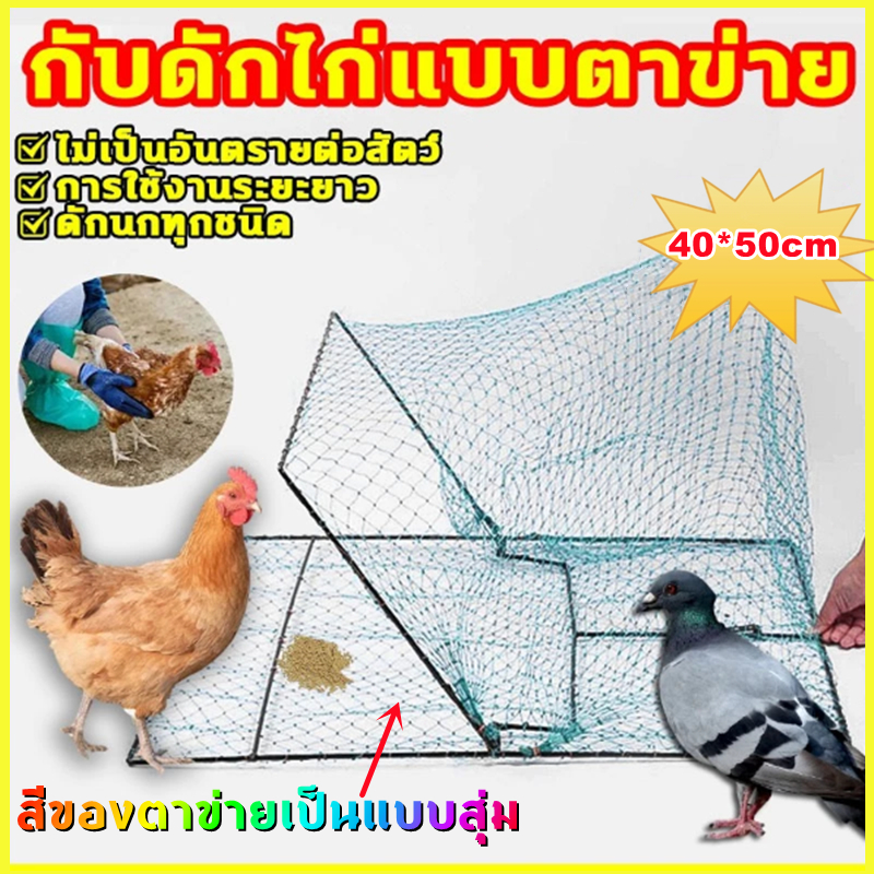 กับดักนกและไก่ กับดักไก่แบบตาข่าย กรอบสแตนเลส ที่ดักนก ที่ดักไก่