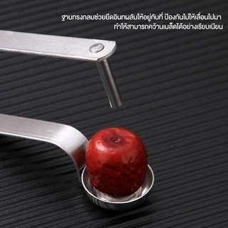 ที่เจาะเมล็ดผลไม้ ที่คว้านเมล็ด เจาะเมล็ดสำหรับ เชอร์รี่ ลำไย พุทรา แบบพกพา ทนทาน ที่แกะเมล็ด อุปกรณ์ในครัวอเนกประสงค์