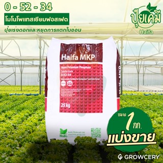 [G] ปุ๋ยเกล็ด 0-52-34 โมโนโพแทสเซียมฟอสเฟต (ปุ๋ยเร่งดอก หยุด…