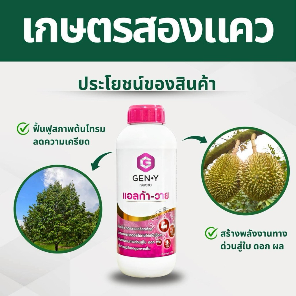 แอลก้า-วาย : น้ำตาลแอลกอฮอล์(ทางด่วน)ที่ไม่ก่อให้เกิดเชื้อรา เพิ่มพลังงานด่วน ดูดซึมเร็ว พืชใช้ได้ทันที   ขนาด1ลิตร ราคา ถูกที่สุด ดีลบีเคเค แกลเลอรีภาพที่ 3