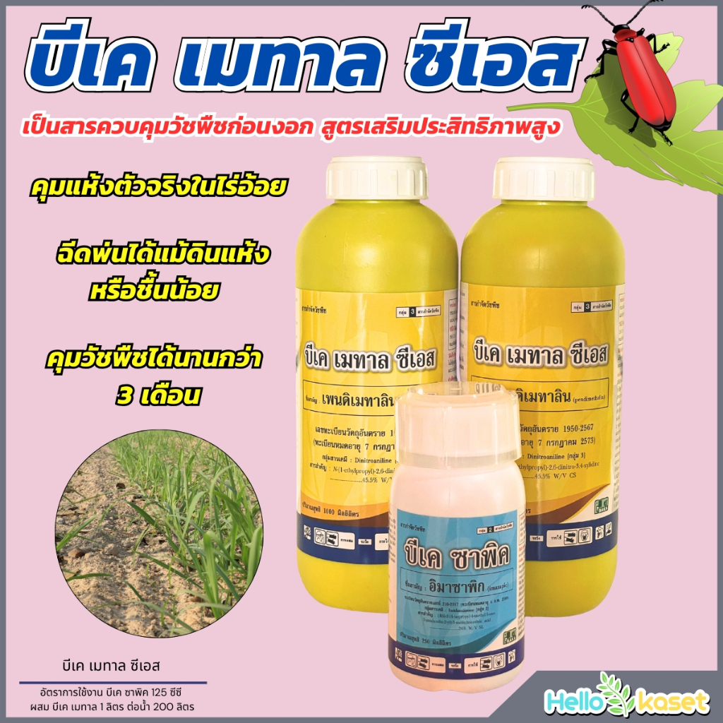 สารคุมวัชพืช บีเคเมทาล ซีเอส+บีเคซาพิค 1 ชุด คุมแห้งตัวจริงในไร่อ้อย ฉีดพ่นได้แม้ดินแห้งหรือชื้นน้อย