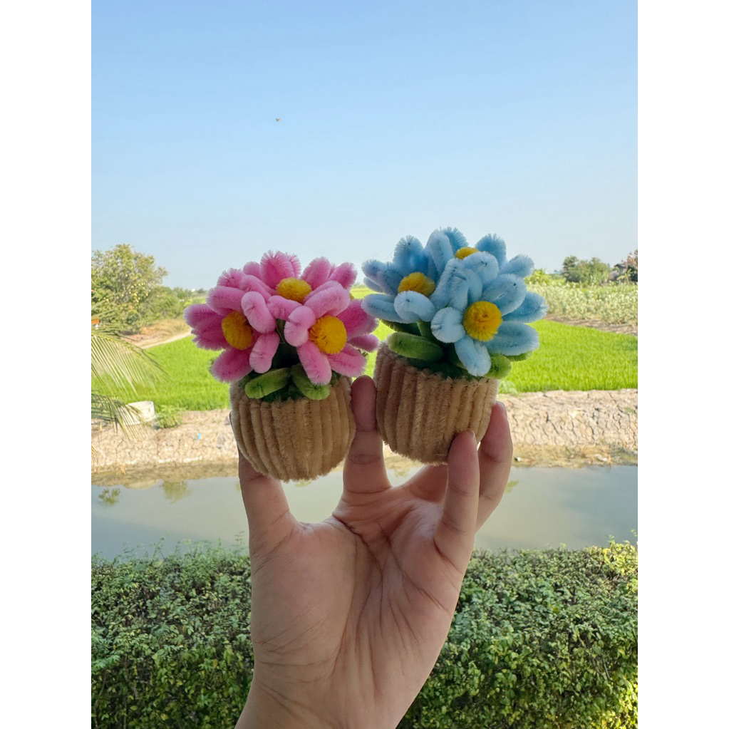 กระถางดอกไม้ 6 ดอก - ดอกไม้ลวดกำมะหยี่ - รูปที่ 5