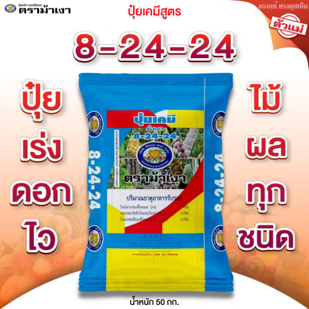 ปุ๋ยเคมี สูตร 8-24-24 ตราม้าเงา [ 50 กก. ] เร่งดอก ออกไว พริกไทย ไม้ผล ทุกชนิดใช้ได้ดี