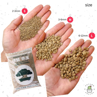 อะคาดามะ ดินญี่ปุ่น AKADAMA SOIL ใช้โรยหน้า กระบองเพชร ไม้อวบน้ำ บอนไซ 1-3mm 3-6mm 500g เกรดพรีเมี่ยม 3แถบ