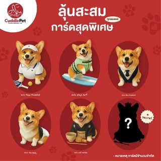 [ 3 ถุง 3 รส ถุงละ 1 KG.] อาหารสุนัขเม็ดนุ่ม พรีเมี่ยม Holistic Fresh Meat รสแซลม่อน รสเนื้อ รสไก่