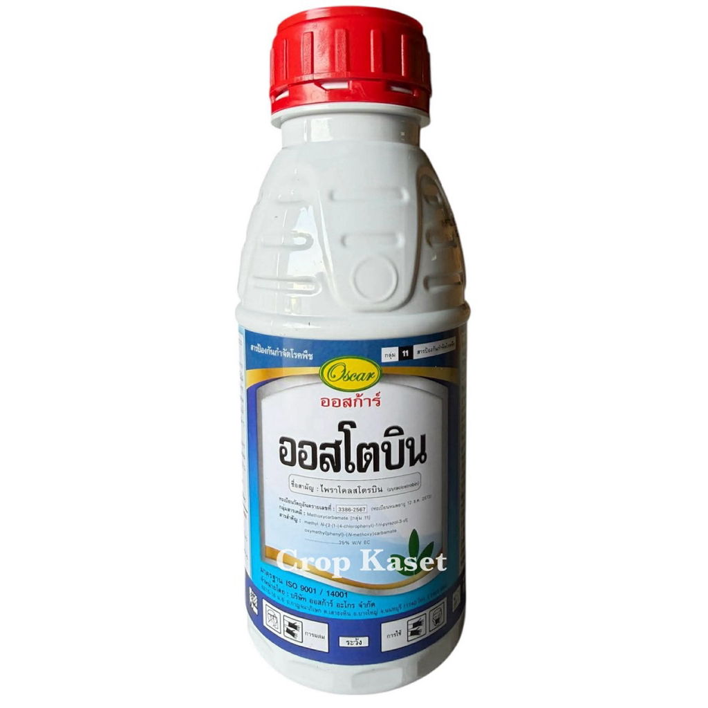 ออสโตบิน (ไพราโคสโตบิน) ขนาด 500 ซีซี #ไพราโคลสโตบิน