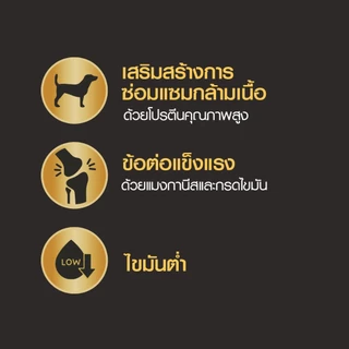 PEDIGREE เพดดิกรี โปร อาหารหมาพันธุ์กลางและใหญ่สูตรโปรตีนสูง 10 กก.