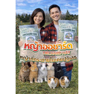 หญ้าหวาน หญ้าออชาร์ด 1kg