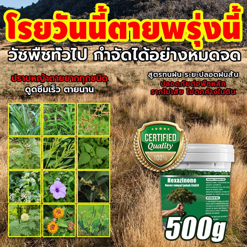 【วัชพืชดื้อ】กำจัดวัชพืช 500g ยาฆ่าตอไม้ ยาฆ่าต้นไม้ใหญ ตรงไปที่ราก สารกำจัดกอไผ่ สากลทุกฤดูกาล ผลติดทนนาน