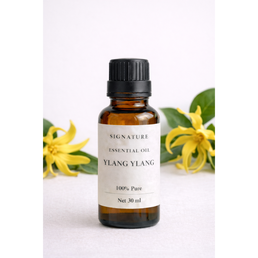 Signature Ylang Ylang Essential Oil 30ml | น้ำมันหอมระเหยกระดังงา กลิ่นหอมหวาน ผ่อนคลาย ส่งฟรี