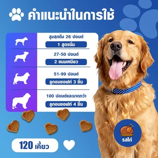 Nutridog Liver Support อาหารเสริมบำรุงตับสุนัข รสไก่ 120 เม็ด บำรุงตับได้ดี