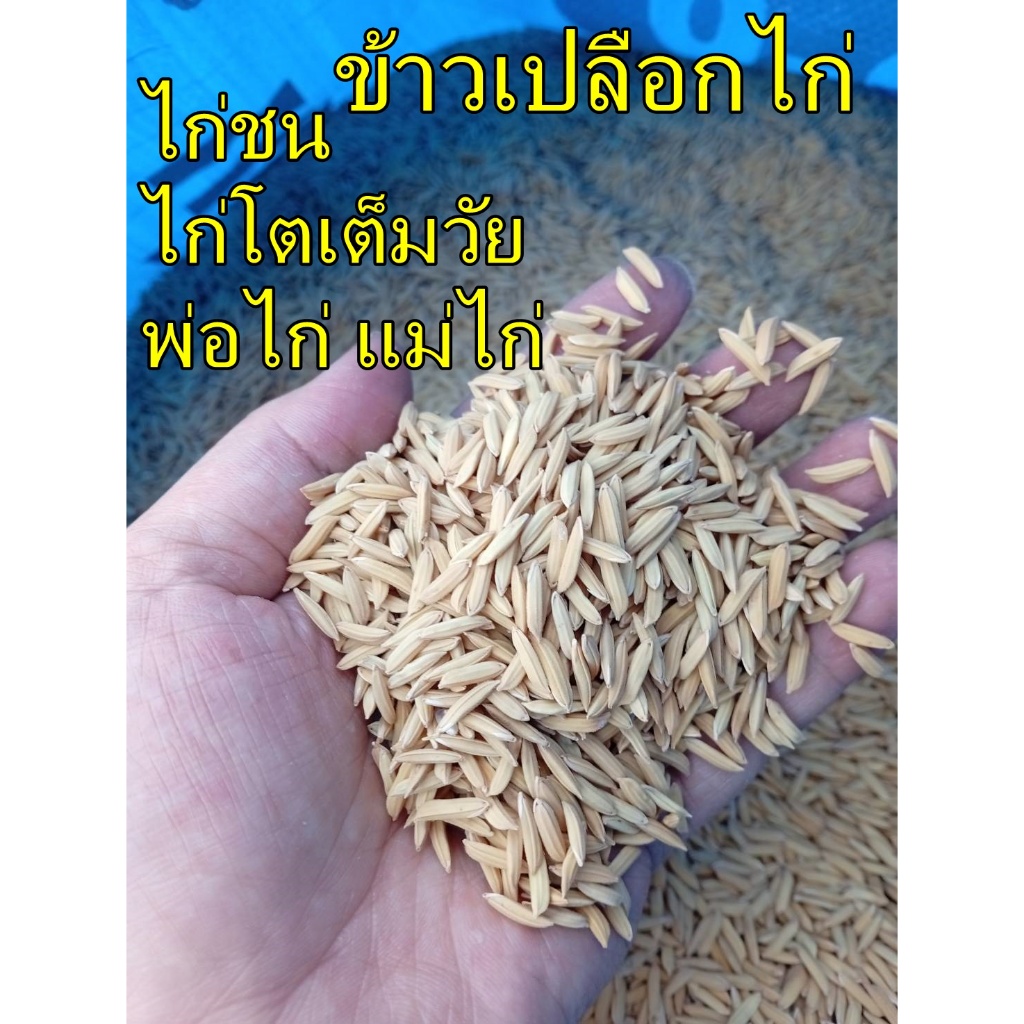 ข้าวเปลือก 10 กิโล ใช้สำหรับเลี้ยงเป็ด ไก่ ห่าน และสัตว์ปีก  ช่วยเพิ่มโปรตีนในสัตว์ทำให้เจริญเติบโตได้เร็ว - รูปที่ 6