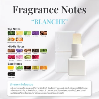 PARMAYARD PURFUME BALM บาล์มน้ำหอมพาร์มายาด 3กลิ่น 3สไตล์ ขนาด 7g