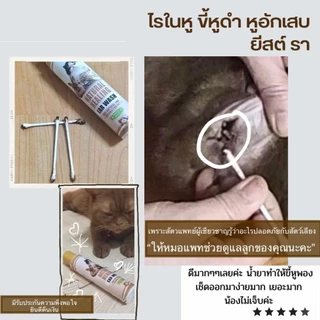 Petsmile น้ำยาเช็ดหูแมวสูตรสัตวแพทย์ (Doctor Chopetch) แก้ไรหู ขี้หูดำยีสต์เชื้อราลดกลิ่นเหม็นออร์แกนิกไม่แสบ100ml