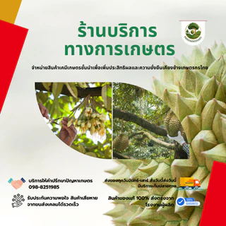 ไดโนร่า ไดโนทีฟูเเรน 20% ขนาด 1 กิโลกรัม ป้องกันเเละกำจัดเเมลง เพลี้ยไฟ เพลี้ยเเป้ง เพลี้ยจั๊กจั่นฝอย