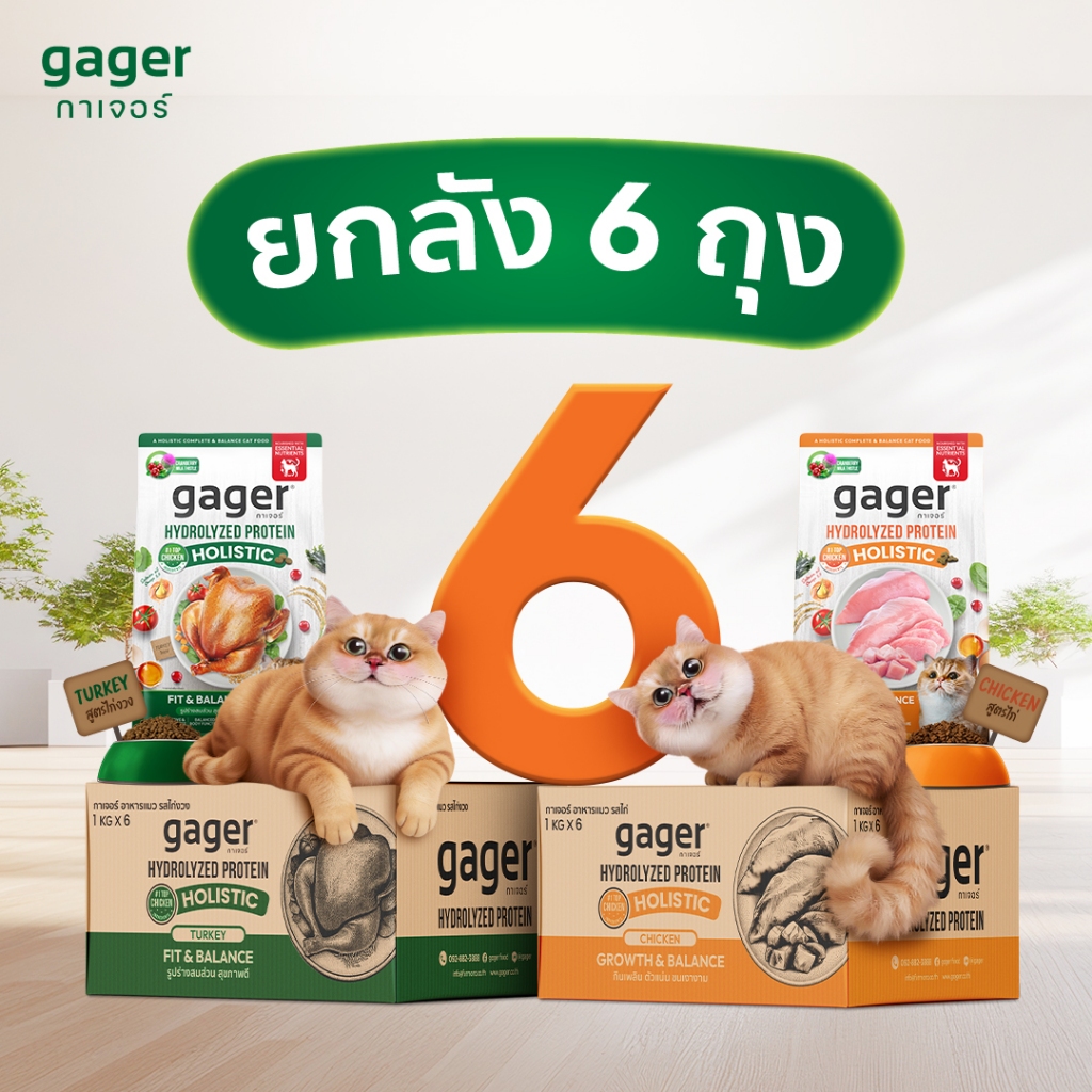 (ยกลัง6ถุง) Gager อาหารแมว กาเจอร์ เสริมวิตามิน เพื่อสุขภาพ พัฒนาโดยสัตวแพทย์ (1กิโล6ถุงเลือกสูตร)