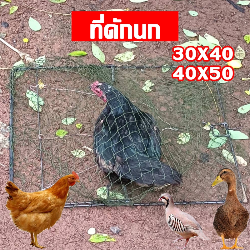 ที่ดักนก สปริงอย่างดี ตาข่ายไนล่อน กับดักไก่ป่า กับดัก โครงเป็นเหล็ก ไม่สึกหรอง่าย ดักนกทุกชนิด