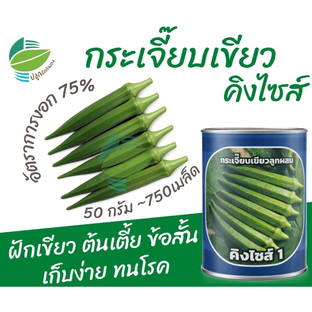 เมล็ดพันธุ์ กระเจี๊ยบเขียว คิงไซส์  ตราลูกโลก ( 50 กรัม )