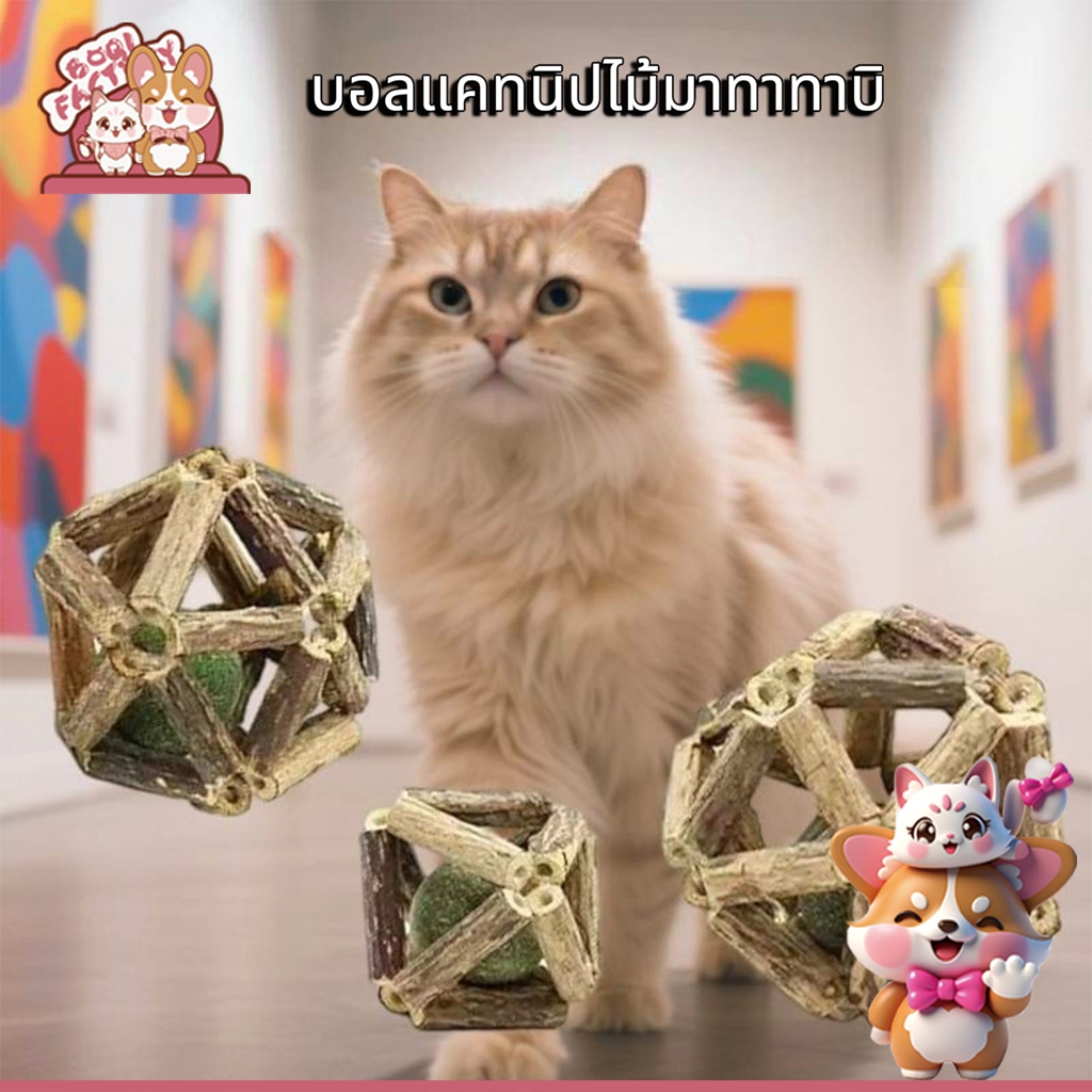 Boqi Factory แคทนิปบอล กระดิ่งไม้มาทาทาบิ กัญชาแมว ลูกบอลแมว ของเล่นแมว กล่องไม้มาทาทาบิ ลูกอบลของเล่น ZY99