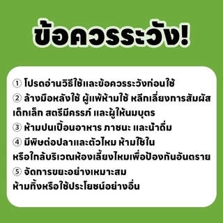🐜 ยาฆ่าปลวกมืออาชีพ 🐜SLB ยาฆ่าปลวก กําจัดปลวก เหยื่อปลวก กำจัดปลวก เจาะรังลึก กำจัดปลวกอย่างหมดจด ยาปลวก ยาฉีดปลวก