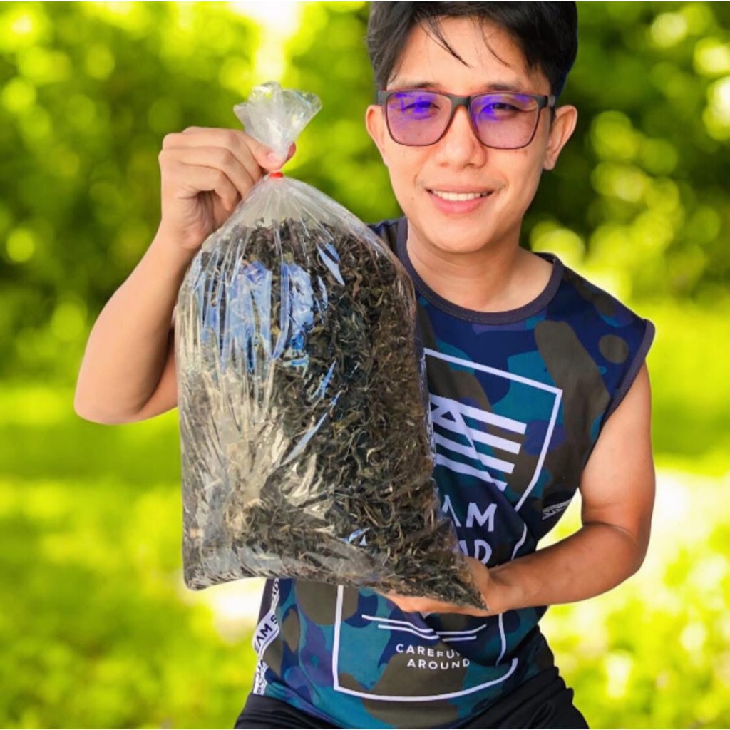 ชาอัสสัมจากเชียงใหม่ ขนาด 500 กรัม ชาดำอัสสัม (ใบชาอบแห้ง)  ASSAM BLACK TEA ชาออแกร์นิค PuMuen Tea กลิ่นหอม รสชาติด...