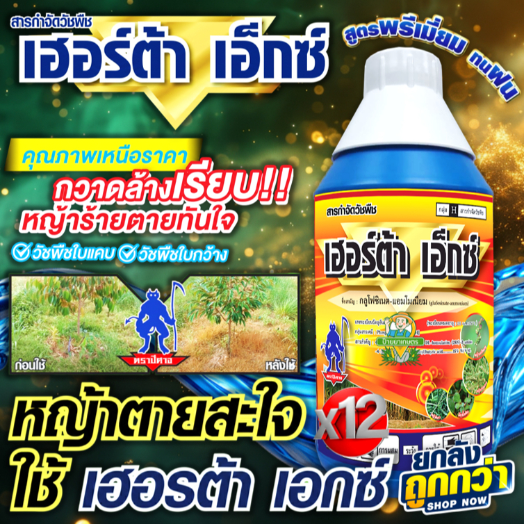 เฮอร์ต้า เอ็กซ์ 1 ลิตร ‼️12 ขวด‼️น้ำฟ้า สูตรทนฝน กลูโฟซิเนต-แอมโมเนียม กำจัดวัชพืช ใบเเคบ ใบกว้าง ราคา ถูกที่สุด ดีลบีเคเค รูปภาพหลัก