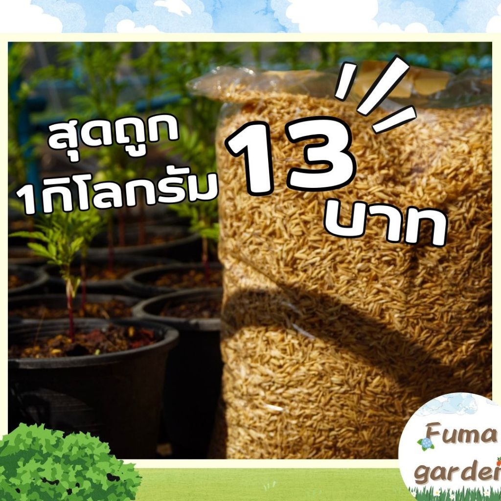 แกลบขาว แกลบดิบ แกลบแห้ง ขนาด1 กิโลกรัม 500 กรัม สุดถูก