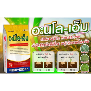 อะนิโลเอ็ม 2,4-ดี-บิวทิล+ อะนิโลฟอส ยาหว่าน 15 กิโลกรัม กำจัดวัชพืชและกำจัดข้าวดีด