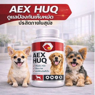 Aexhuq เสริมอาหารสุนัข ป้องกันเห็บ หมัด ไร ผิวหนังคัน สูตรสำหรับสุนัข