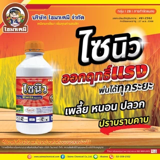 ✅ 💥 ไซนิว ฟิโพรนิล แอสเซนด์ ป้องกันกำจัดแมลง กำจัดปลวก หนอน ข้าว ข้าวโพด เพลี้ยไฟ เพลี้ยกระโดด( 1 ลิตร )