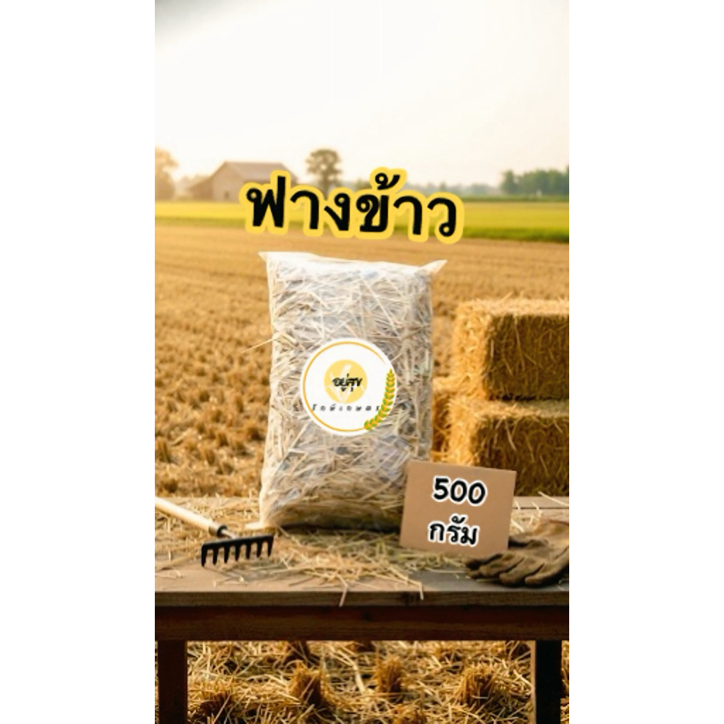 ฟางข้าวธรรมชาติ 100% 500 กรัม | คลุมดิน ปลูกผัก เลี้ยงสัตว์ | ฟางแห้ง สะอาด