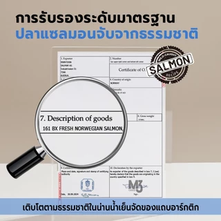 Bite Of Wild FARM แซลมอน อาหารแมว 250g (Mini Pack). Grain free โปรตีนสัตว์ 90% น้ำมันแซลมอน บำรุงขนและผิวหนัง