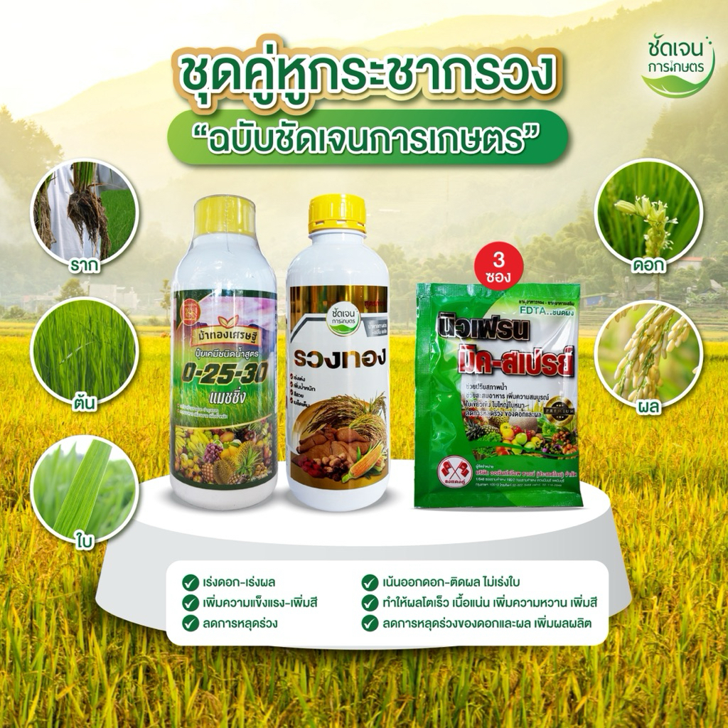 ชุดคู่หูกระชากรวง (0-25-30+รวงทอง+นิวเฟรนมิค3) 1 ชุด15 ไร่ เร่งดอกออกผล ทำให้ผลโตเร็ว เนื้อเน้น สีสวย