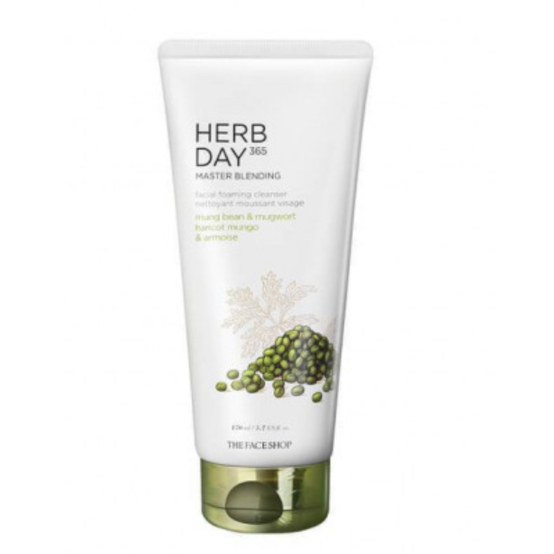 HERB DAY 365 MASTER BLENDING FACIAL FOAMING CLEANSER