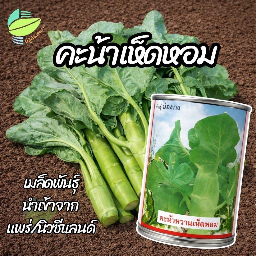 เมล็ดพันธุ์ คะน้าหวานเห็ดหอม ฮ่องกง ตราลูกโลก ( 60 กรัม )