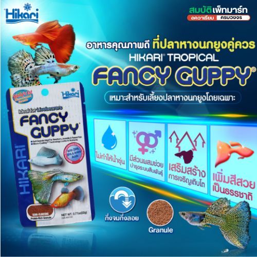 Hikari Fancy Guppy 22 g. อาหารปลาหางนกยูง ปลาบอลรูน