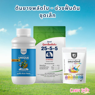 เซตฟื้นต้นยางพาราช่วงผลัดใบ เร่งแตกใบใหม่ ฟื้นต้นโทรม บำรุงห…
