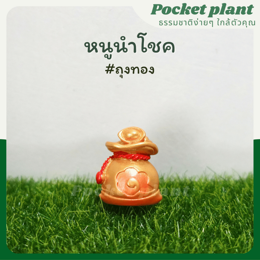 มุมมอง 7